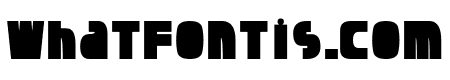 Dragonfly Bold