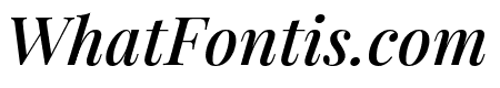 Playfair Display SemiBold Italic