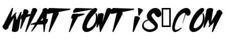 H74 Salem Witch Hunt
