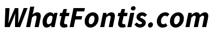 Source Sans Pro Bold Italic