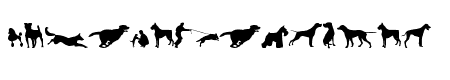 can dog tfb