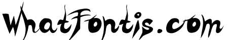 ZOE Graphic Regular