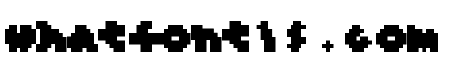 dwt Micro Mask