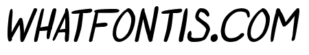 Otaku Rant Bold Italic