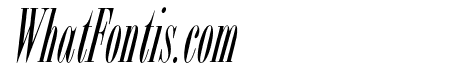 OPTIBorDen-Italic