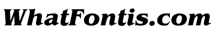 OPTIBrianJamesBold-Italic