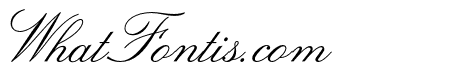 LeviScriptOpti