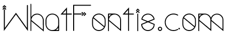 Polar Vertex