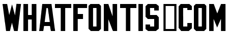 NFL Seattle Seahawks Pattern