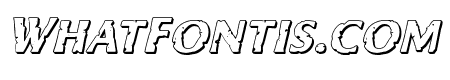 Body Swipers 3D Italic