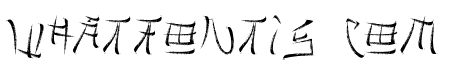 Brushido