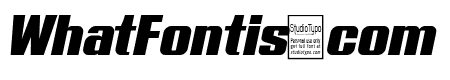 Typoline Expanded Italic