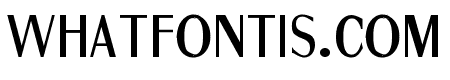 Fine Sans Bold