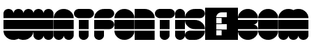 Disco Flow Regular