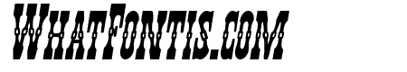 Younger Brothers Bold Italic