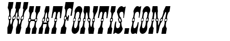 Younger Brothers Italic