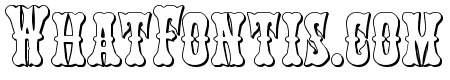 Texas Ranger 3D