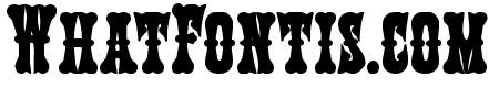 Texas Ranger Bold