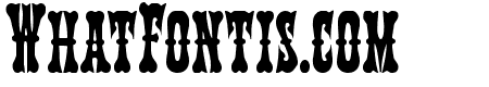Texas Ranger Condensed