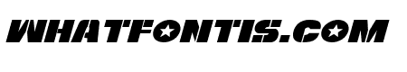 Freedom Fighter Expanded Italic