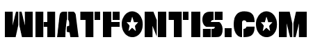 Freedom Fighter Condensed