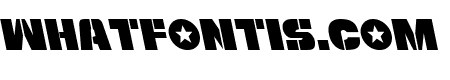 Freedom Fighter Leftalic