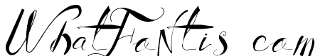 Vtks Authentic