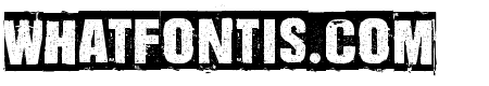 Dharma Punk