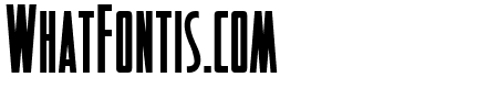 Detectives Inc