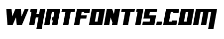 Danger Flight Expanded Italic
