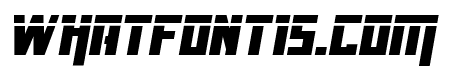 Danger Flight Laser Italic