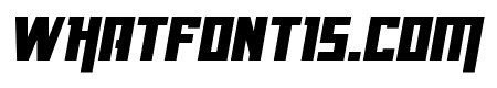 Danger Flight Italic
