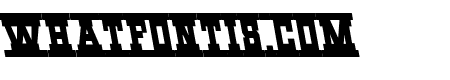 Western Rail Leftalic