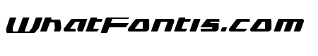 DS man Expanded Italic