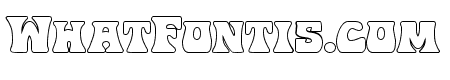Hip Pocket Outline