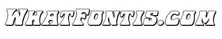 Hip Pocket 3D Italic