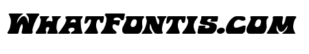 Hip Pocket Expanded Italic