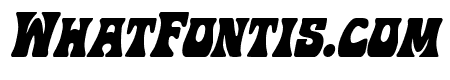 Hip Pocket Condensed Italic