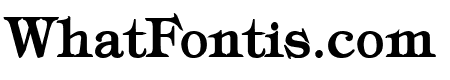 Typography Times Bold