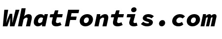 Source Code Pro Black Italic