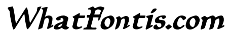 Planewalker Bold Italic