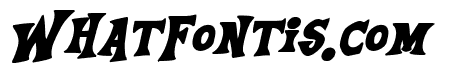 Equestria Bold Italic