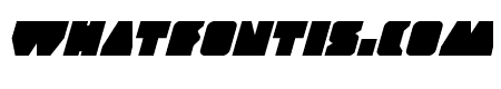 Contour of Duty Italic