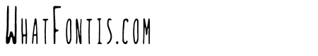 Ladybug-Regular