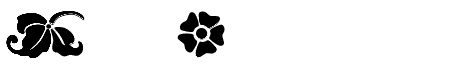 Fleurs Font