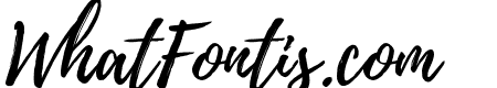 Playlist-Script