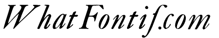 CaslonBookItalicWF