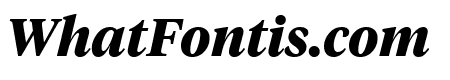 TiemposHeadline BoldItalic