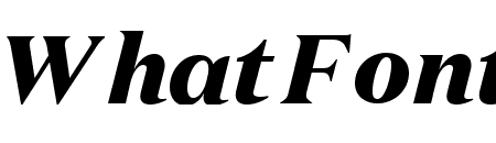 DomaineText BlackItalic