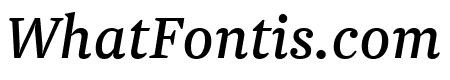 Newzald BookItalic